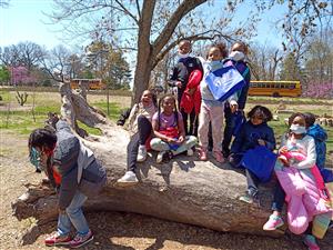 Look at the scholars at Pierre Laclede taking in all that nature has to offer.